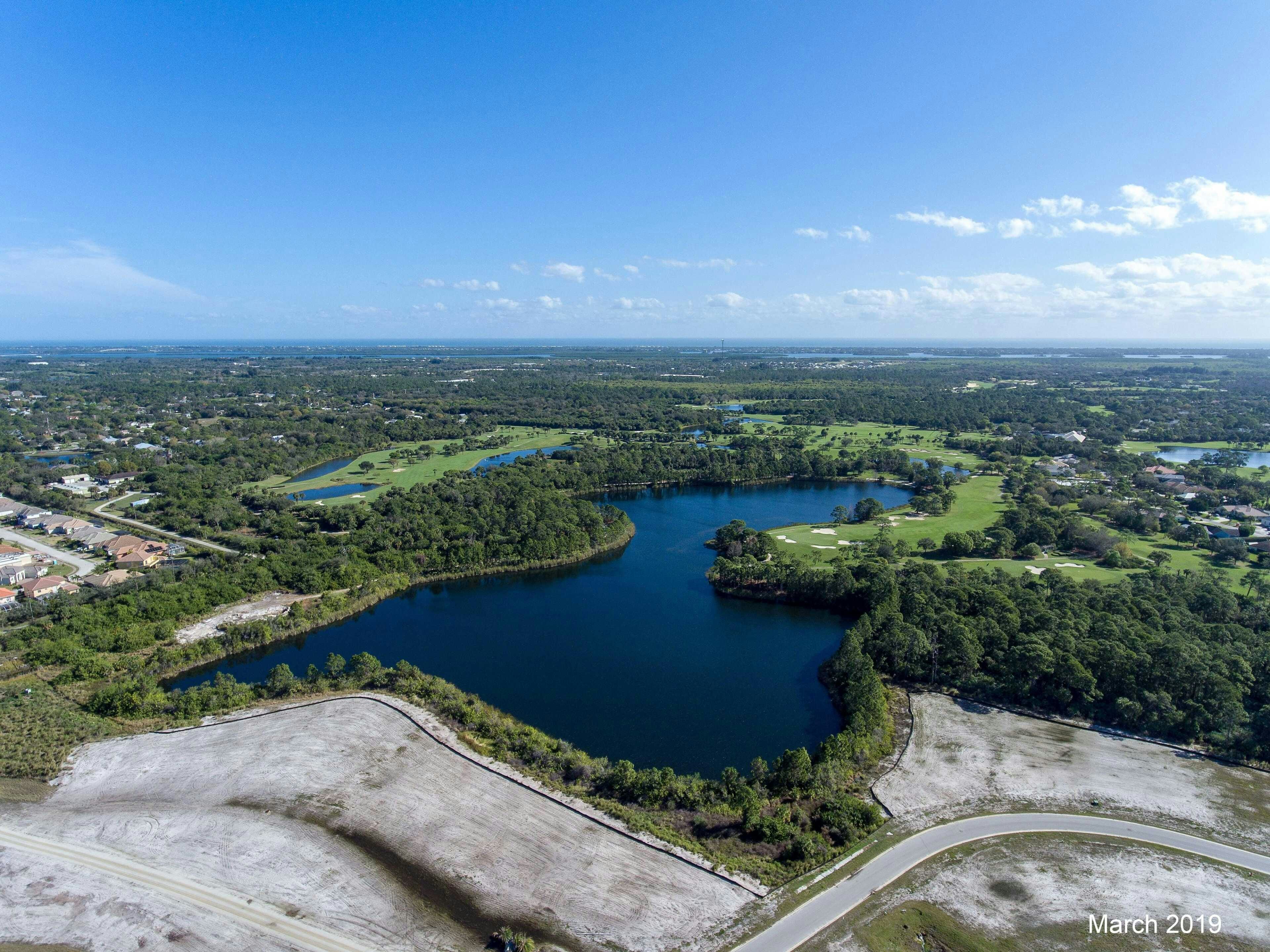 Aerial March 2019 | Bent Pine Preserve