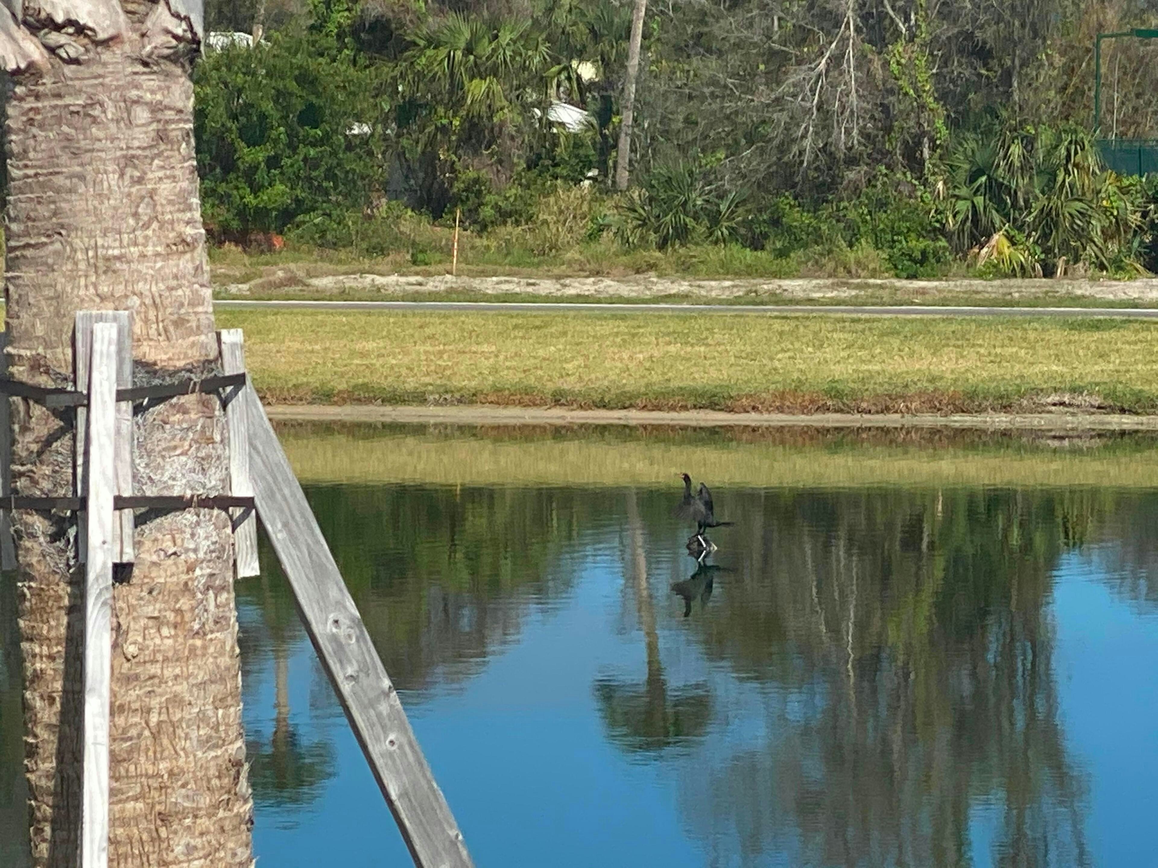 Community Lakes | The Strand