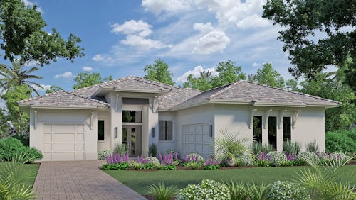 Transitional Elevation | Madrona Transitional Elevation | Madrona