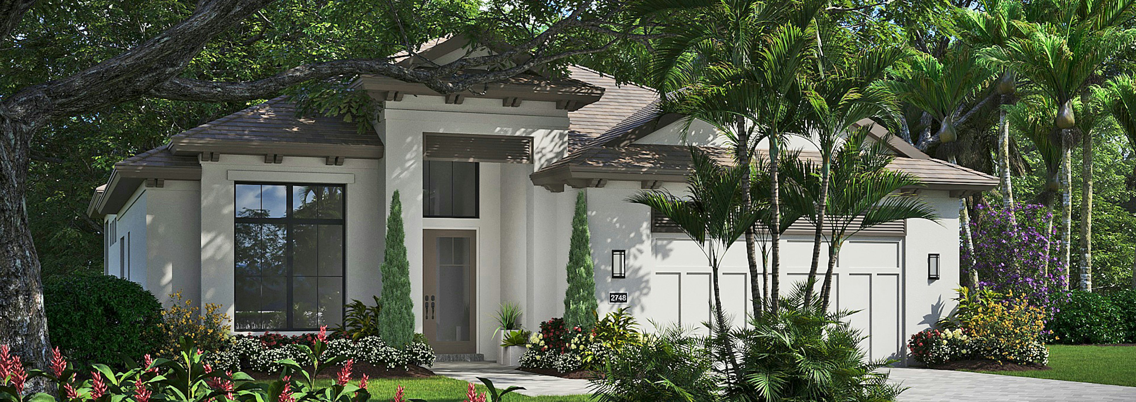 Bermuda Elevation | Cerulean Bermuda Elevation | Cerulean