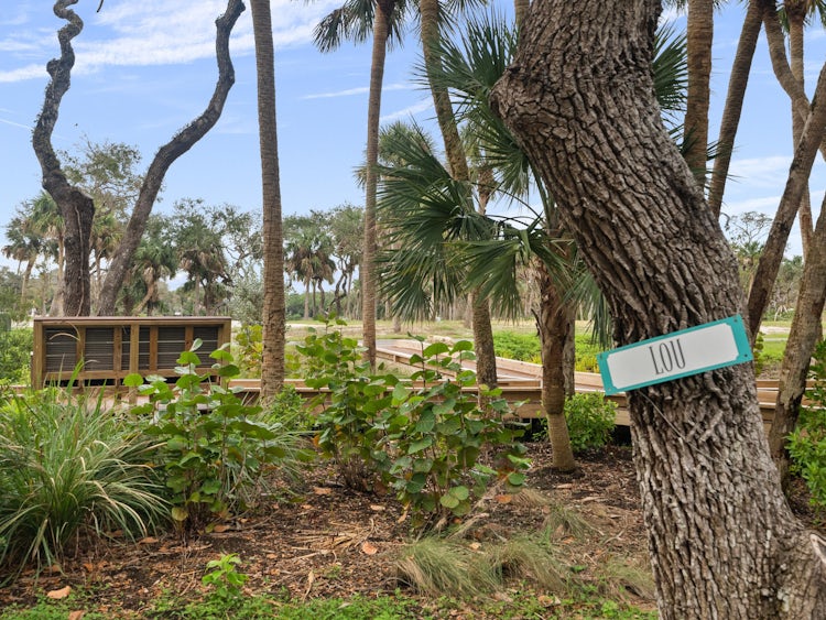 Tree Preservation | Seaglass Tree Preservation | Seaglass