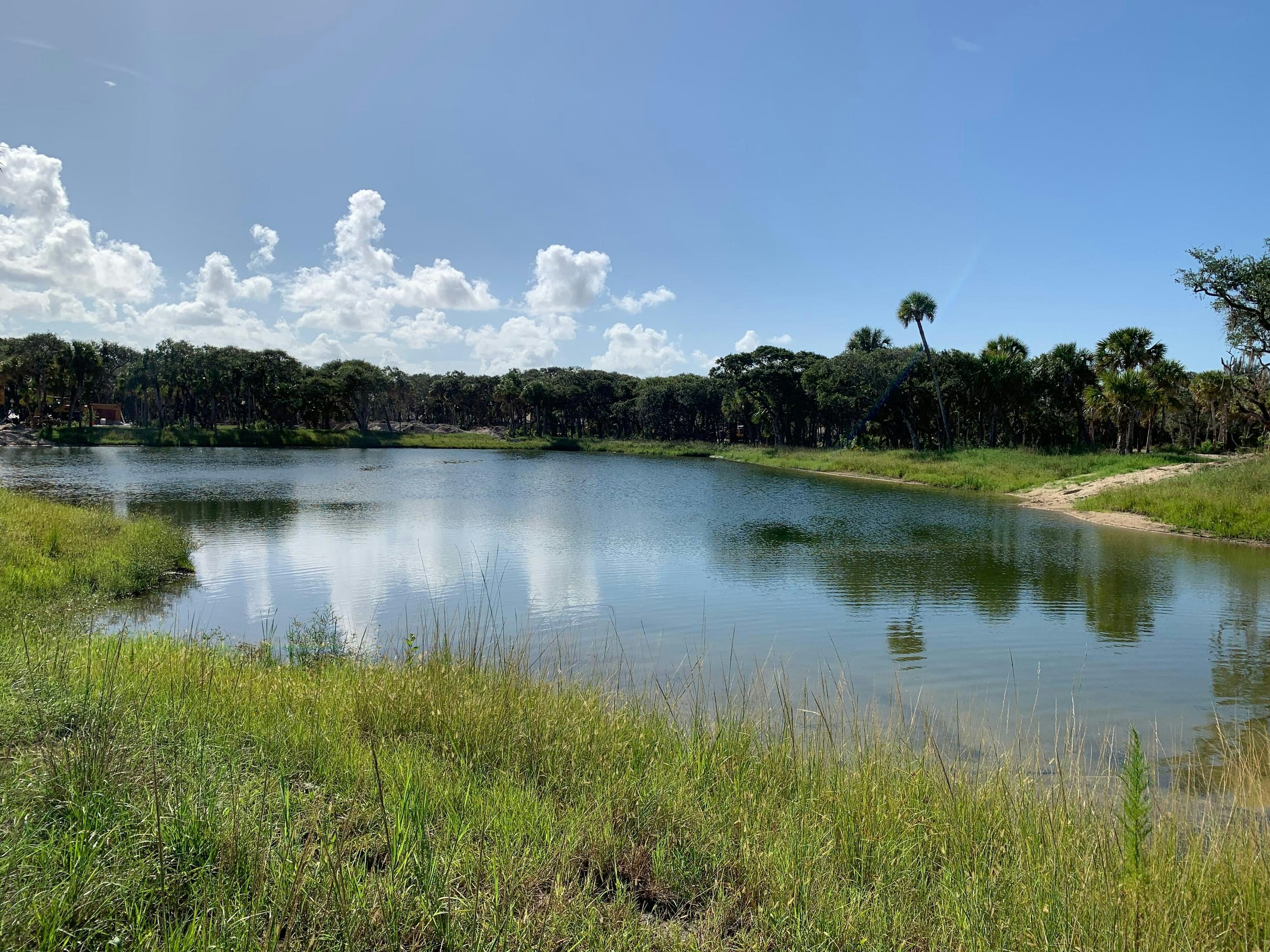 Lake Seaglass | Seaglass