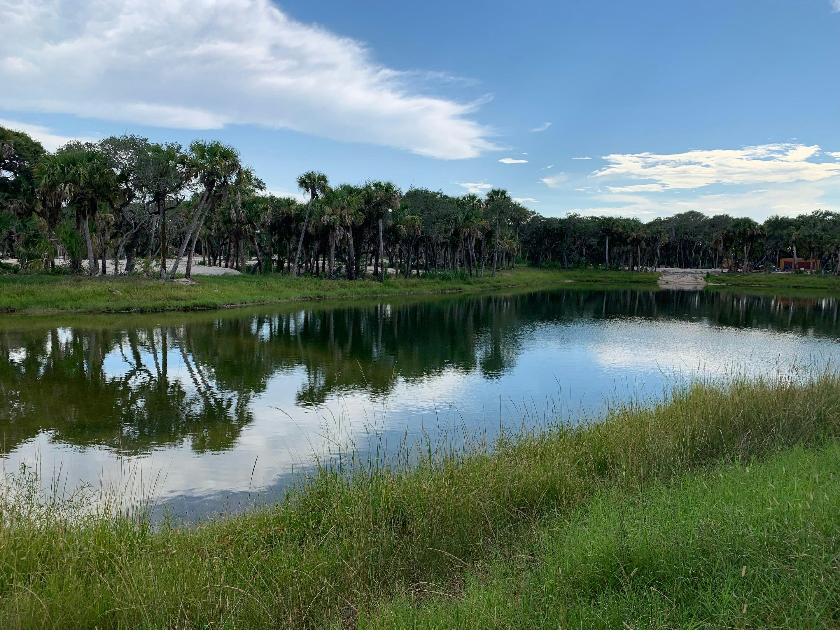 Lake Seaglass | Seaglass