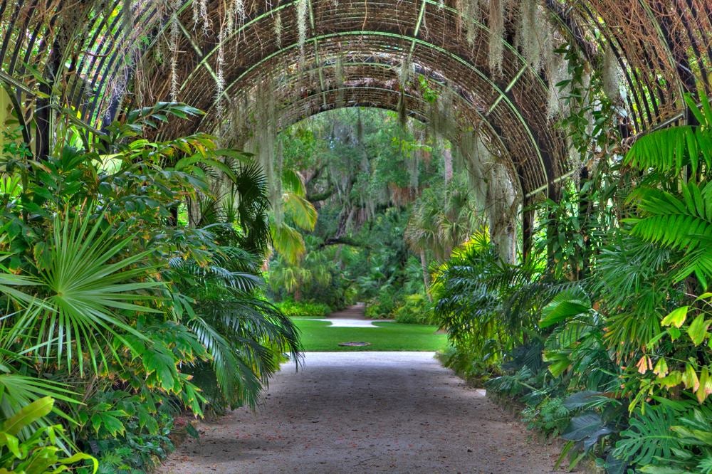 McKee Botanical Gardens | Vero Beach