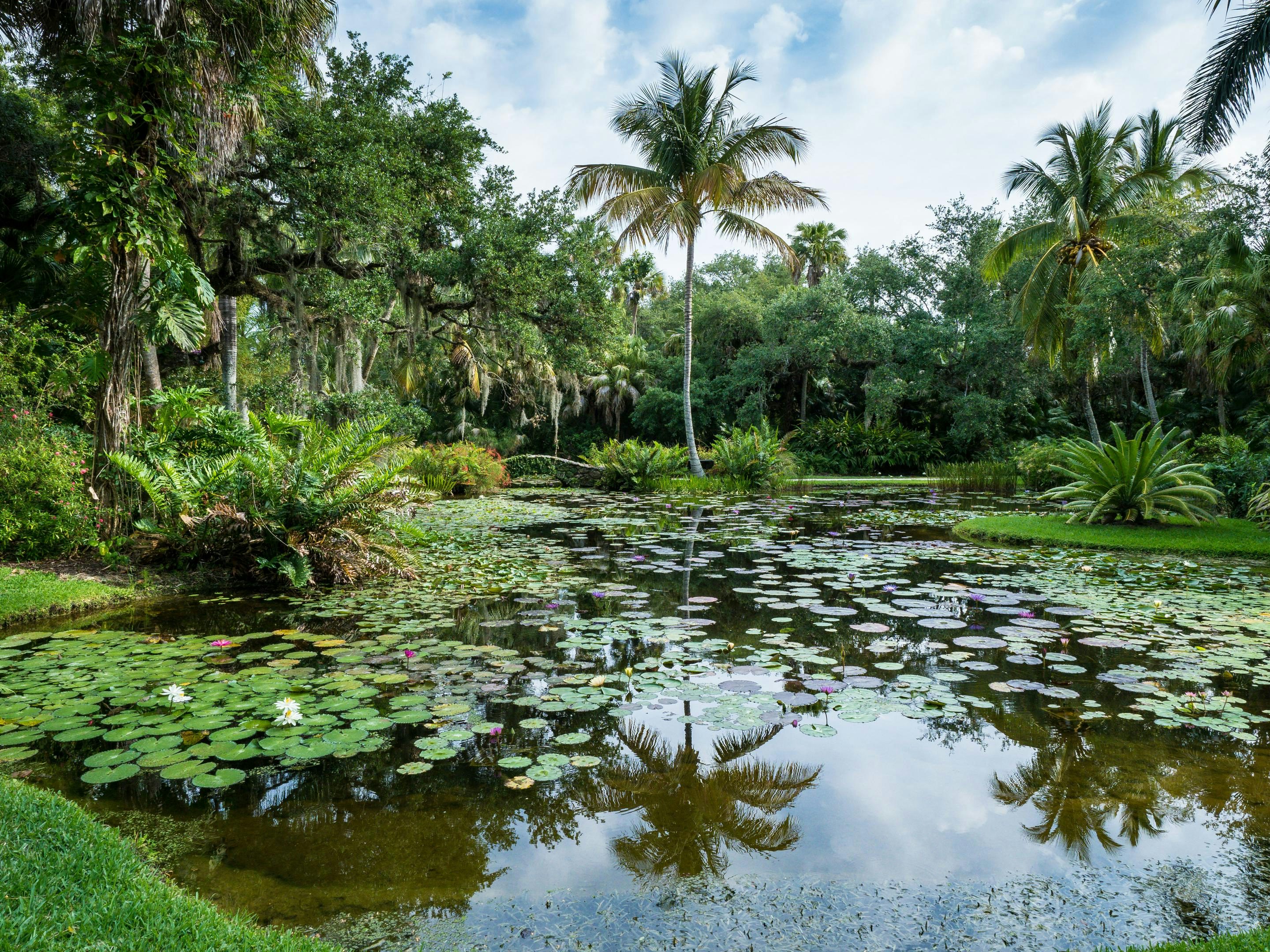 McKee Botanical Gardens | Vero Beach