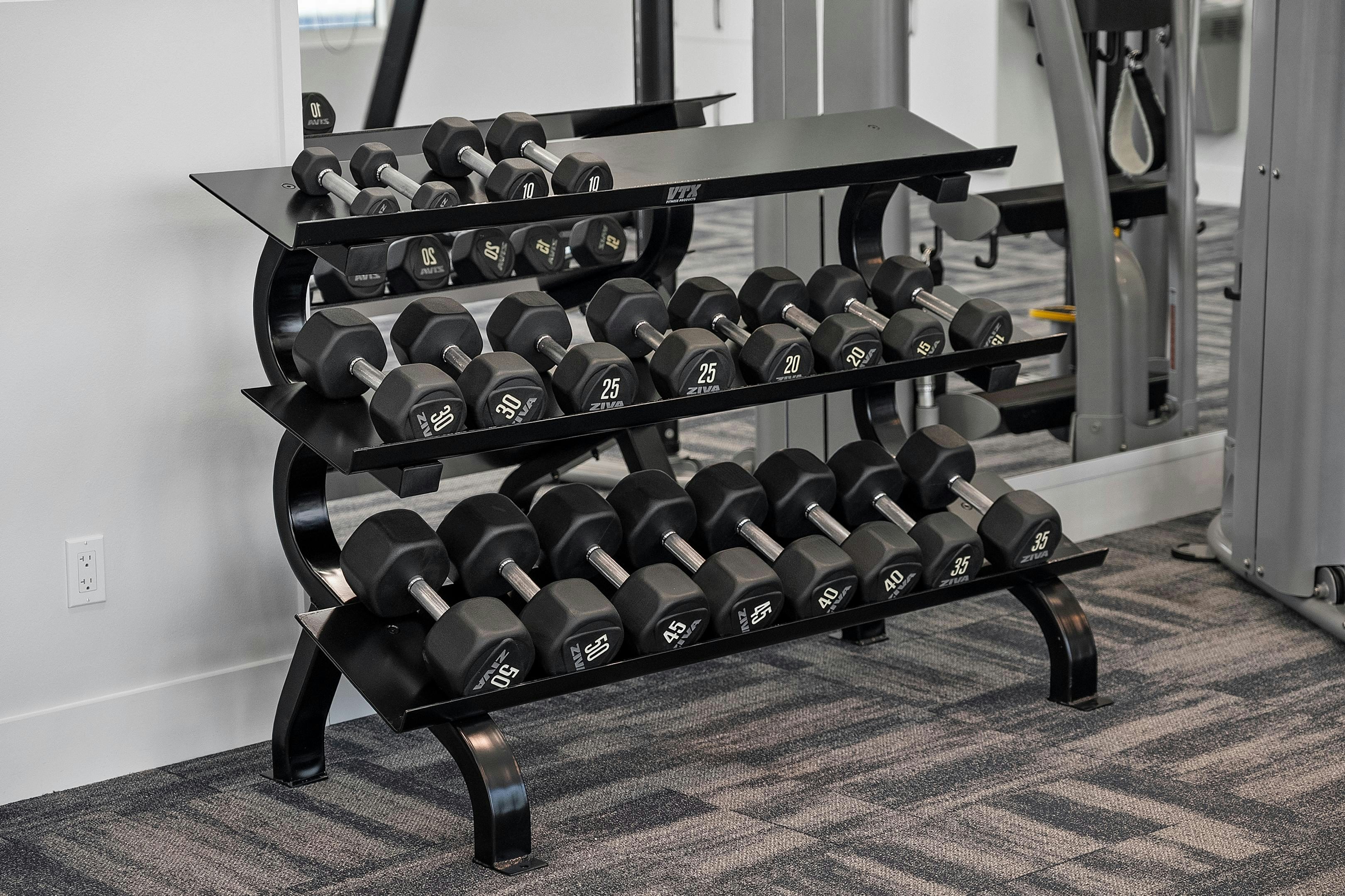 Fitness Free Weights | High Pointe Clubhouse
