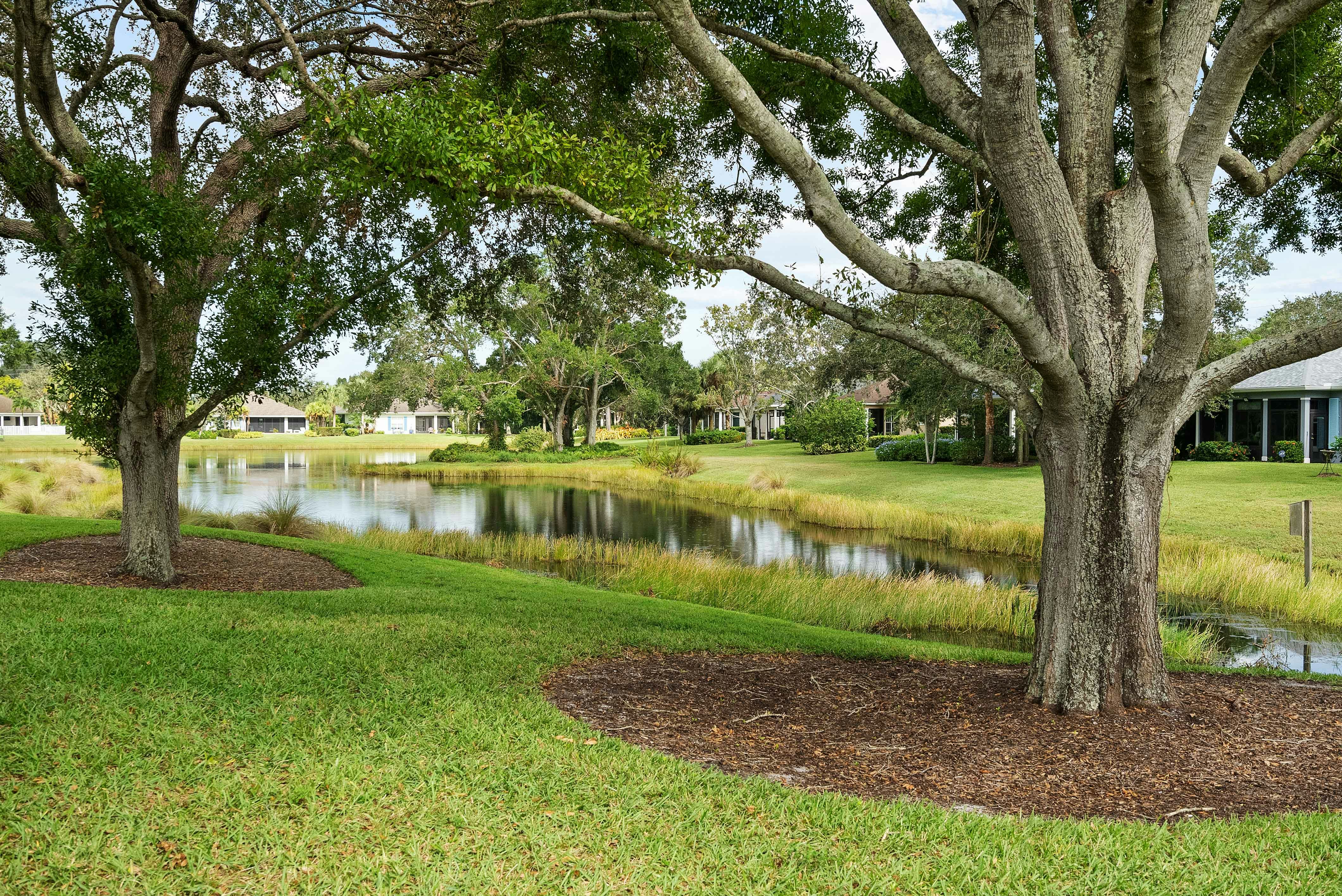 Backyard View | 236 Oak Hammock Cr SW