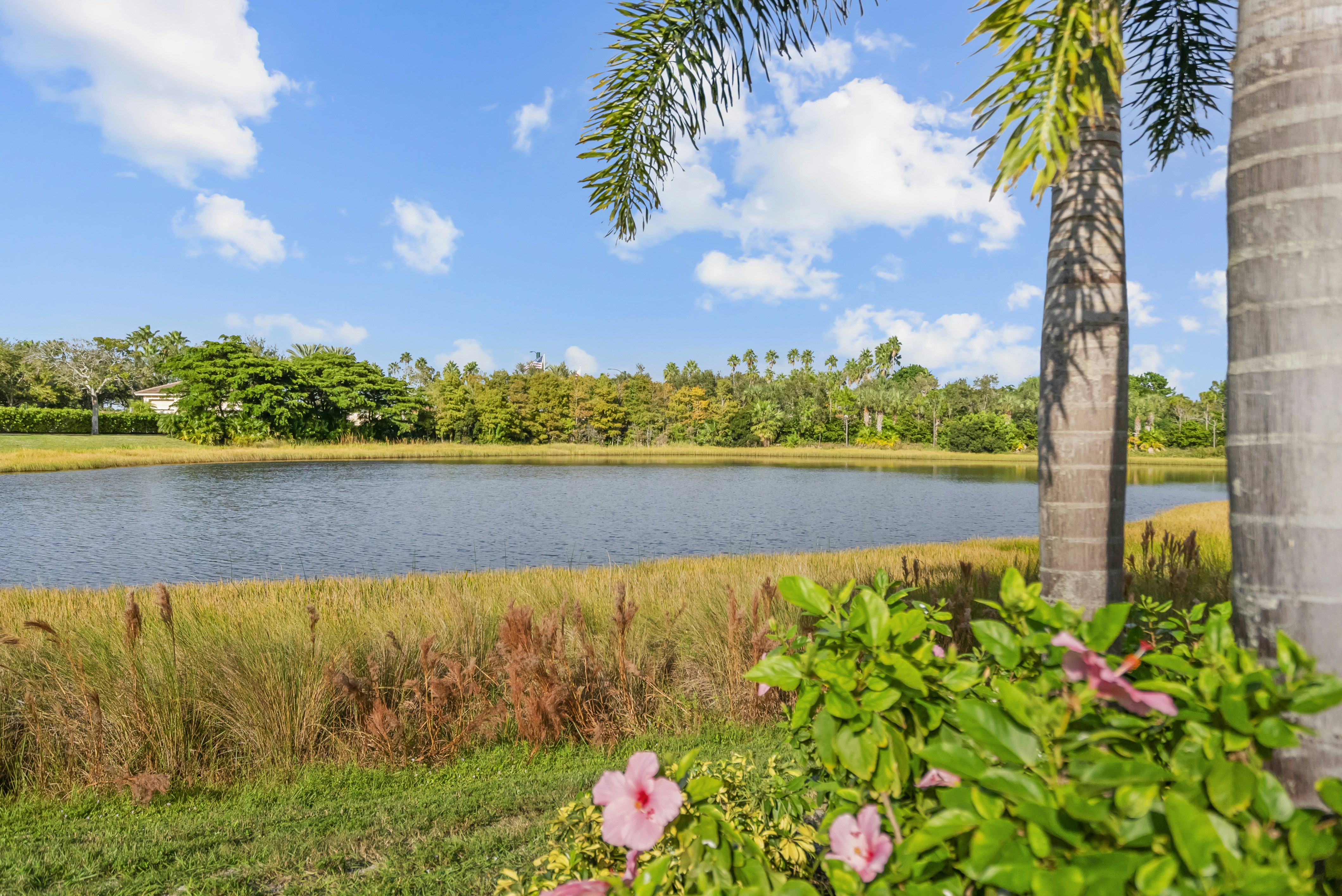 Rear View | 2184 Falls Manor