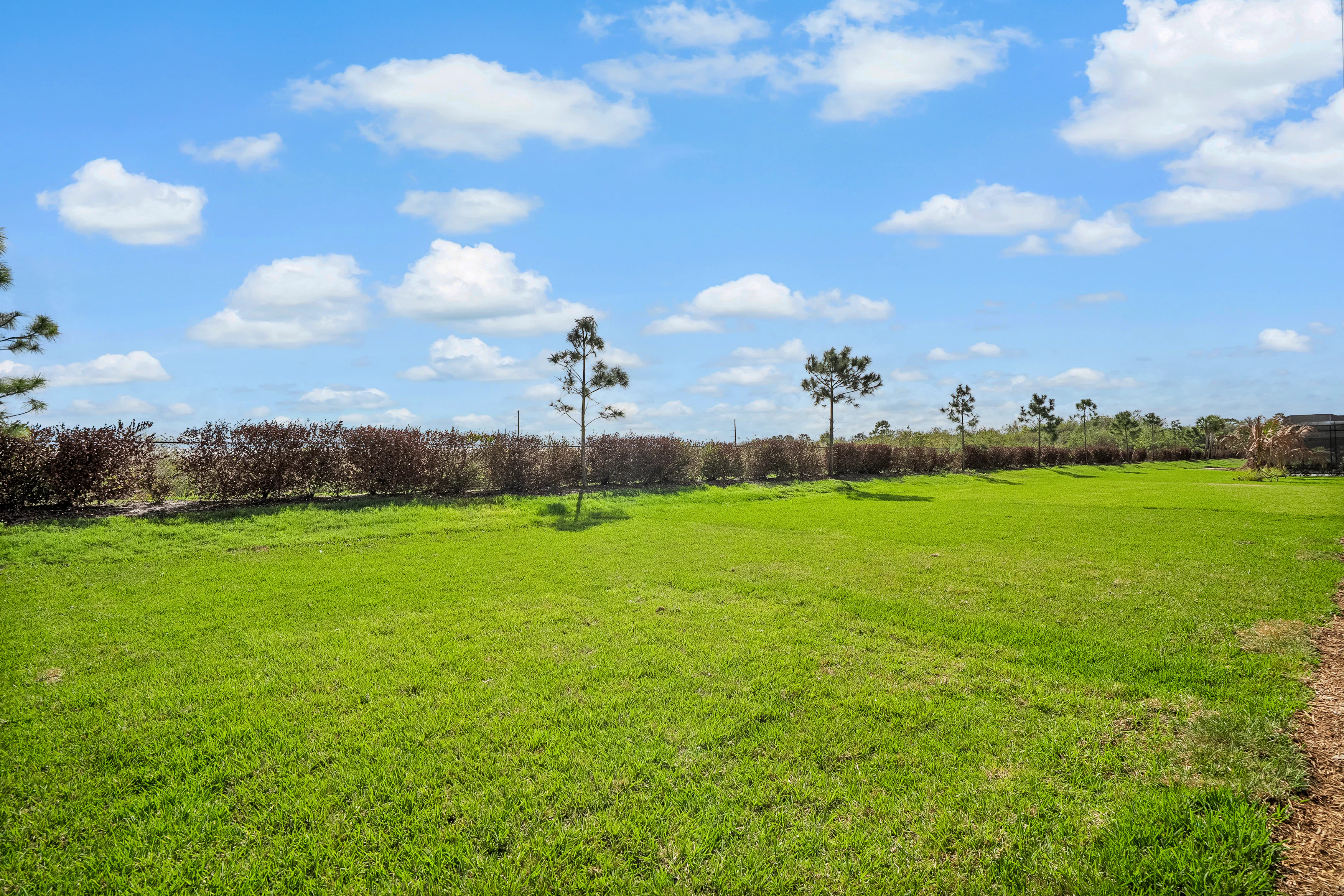 Backyard | Callie Model