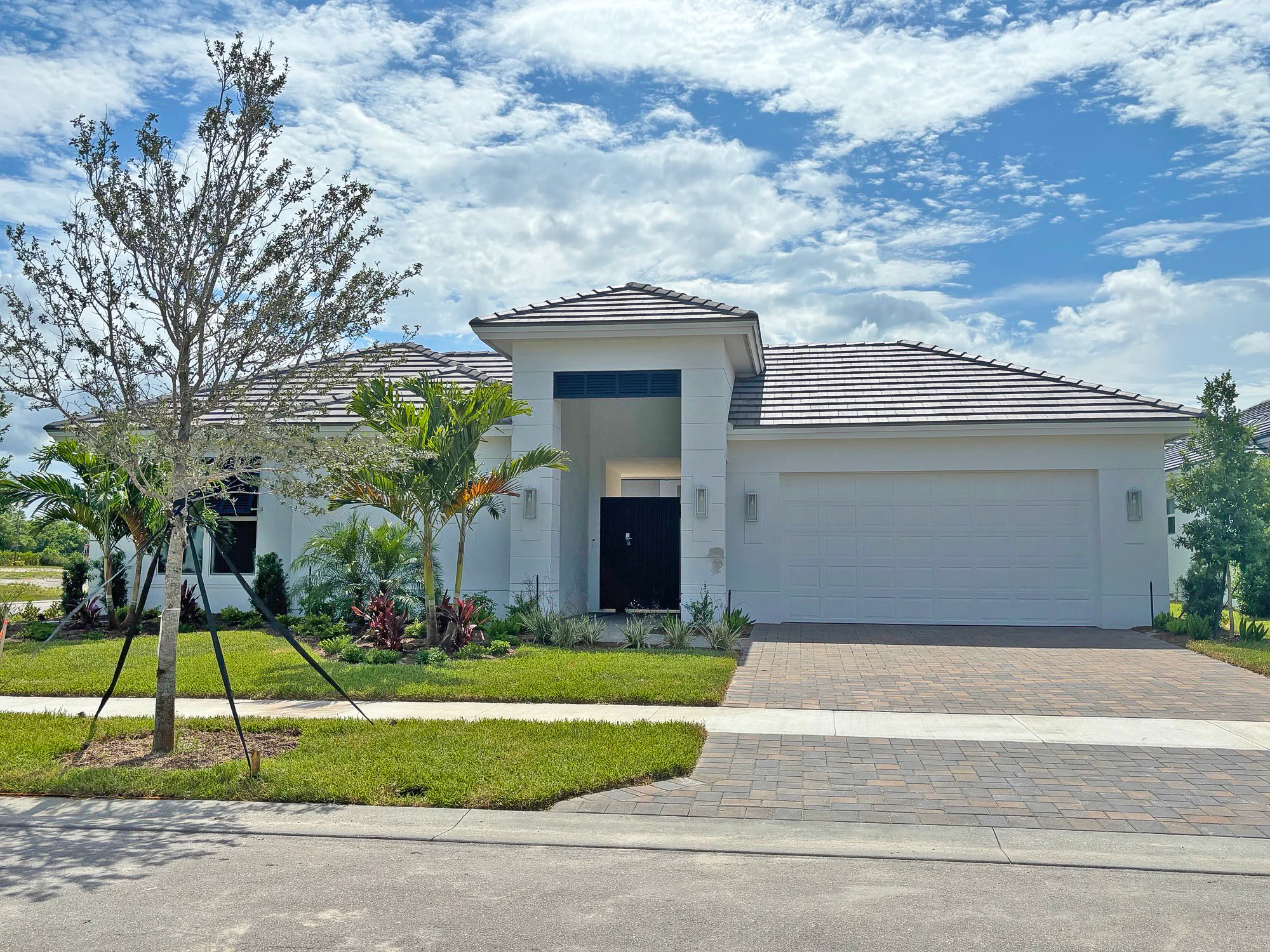 Front Elevation | Argus Model